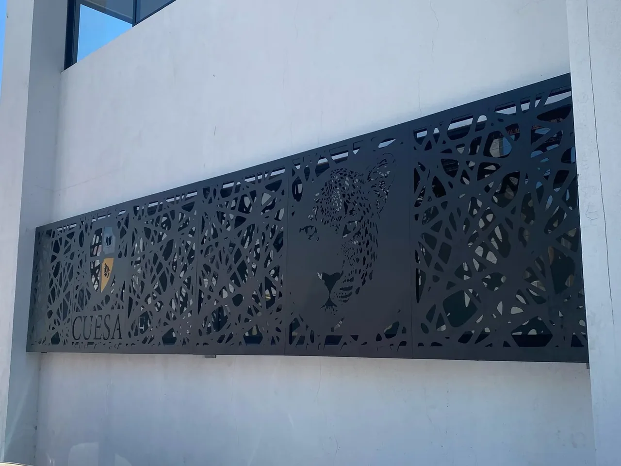 Guía: Protección de ventana